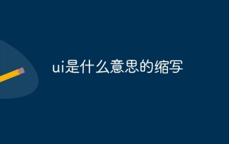 ui은 무슨 뜻인가요?