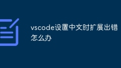 Was soll ich tun, wenn ein Erweiterungsfehler auftritt, wenn vscode auf Chinesisch eingestellt ist?