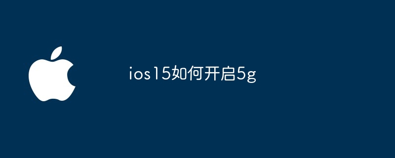 ios15如何开启5g