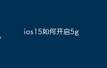 ios15如何开启5g
