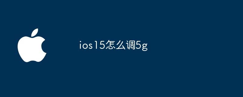 iOS15에서 5g를 조정하는 방법