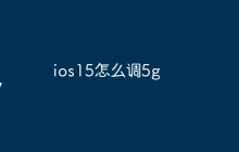 ios15怎么调5g