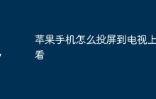 苹果手机怎么投屏到电视上观看