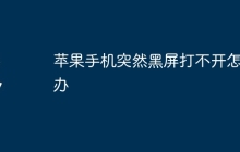 苹果手机突然黑屏打不开怎么办