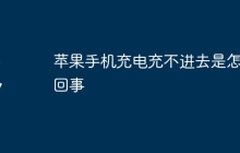 苹果手机充电充不进去是怎么回事