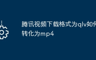 How to convert Tencent video download format to qlv to mp4