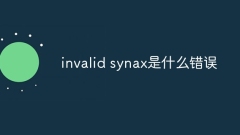 invalid synax是什么错误