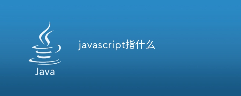 JavaScriptとはどういう意味ですか?