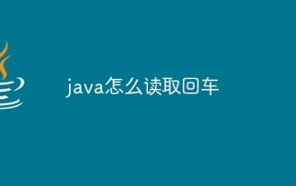 So lesen Sie den Wagenrücklauf in Java
