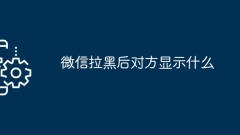 What does the other party show after being blocked on WeChat?