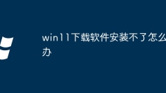 What to do if win11 download software cannot be installed