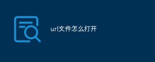 url文件怎么打开