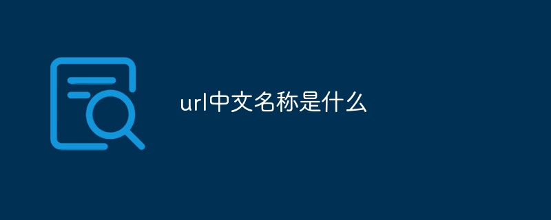 URL의 중국어 이름은 무엇입니까?