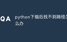 python下载后找不到路径怎么办