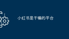 What is Xiaohongshu a platform for?