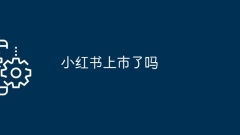 Is Xiaohongshu on the market?