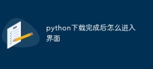 Bagaimana untuk memasukkan antara muka selepas muat turun python selesai