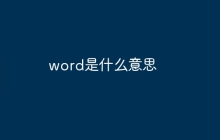 word是什么意思