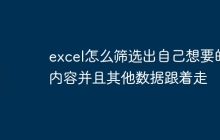 excel怎么筛选出自己想要的内容并且其他数据跟着走