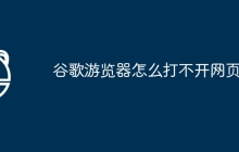 谷歌游览器怎么打不开网页