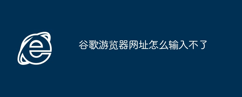 谷歌游览器网址怎么输入不了