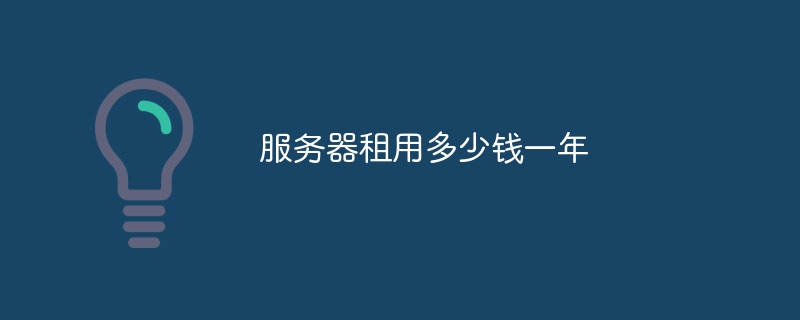 1년 동안 서버를 임대하는 데 드는 비용은 얼마입니까?