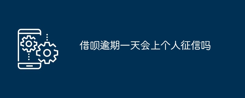 ローンを 1 日延滞した場合、個人信用報告書は作成されますか?