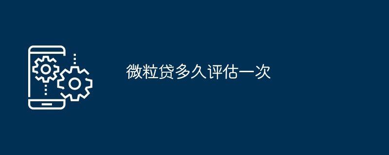 Weilidai는 얼마나 자주 평가를 받나요?