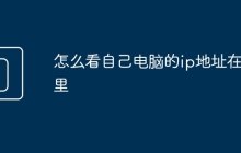 怎么看自己电脑的ip地址在哪里