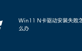 Was tun, wenn die Installation des Win11 N-Kartentreibers fehlschlägt?