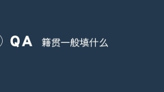 出身地には通常何と記入しますか?