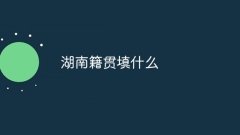 湖南省の出身地として何を記入すればよいですか?