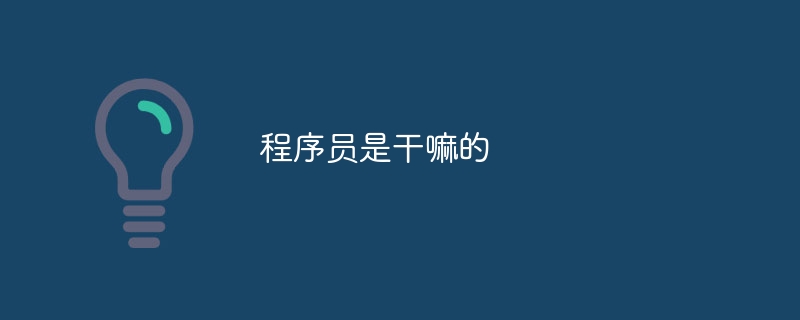 プログラマーは何をする人ですか?