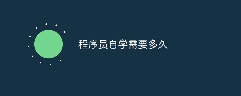 프로그래머가 스스로 가르치는 데 얼마나 걸리나요?