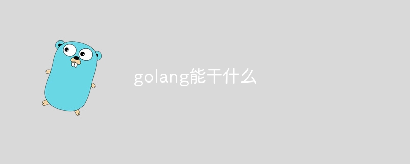 golang能干什么