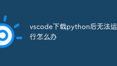 What should I do if vscode cannot run after downloading python?