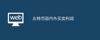 比特币国内外买卖利润