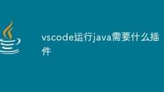 Quels plug-ins sont nécessaires pour que vscode exécute Java ?