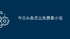 So lesen Sie heute kostenlos Romane auf Toutiao