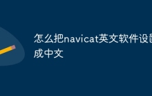 怎么把navicat英文软件设置成中文