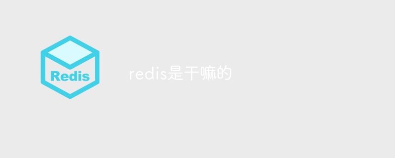 redis是干嘛的