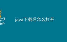 java下载后怎么打开