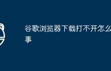 谷歌浏览器下载打不开怎么回事