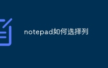 notepad如何选择列