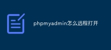 phpmyadmin怎麼遠端打開