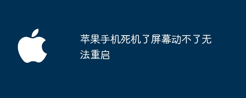 Apple 휴대폰이 정지되어 화면을 이동할 수 없으며 다시 시작할 수 없습니다.