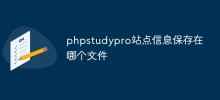 phpstudypro網站資訊保存在哪個文件