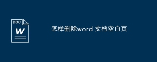 How to delete blank pages from word document