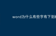 word为什么有些字有下划线