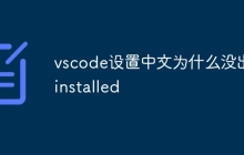 vscode设置中文为什么没出现installed